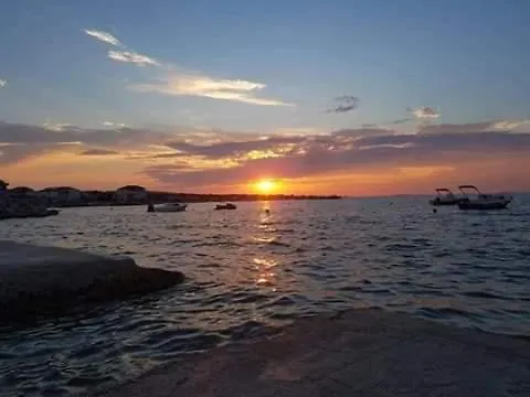Apartment Mimosa Vir Croatia
